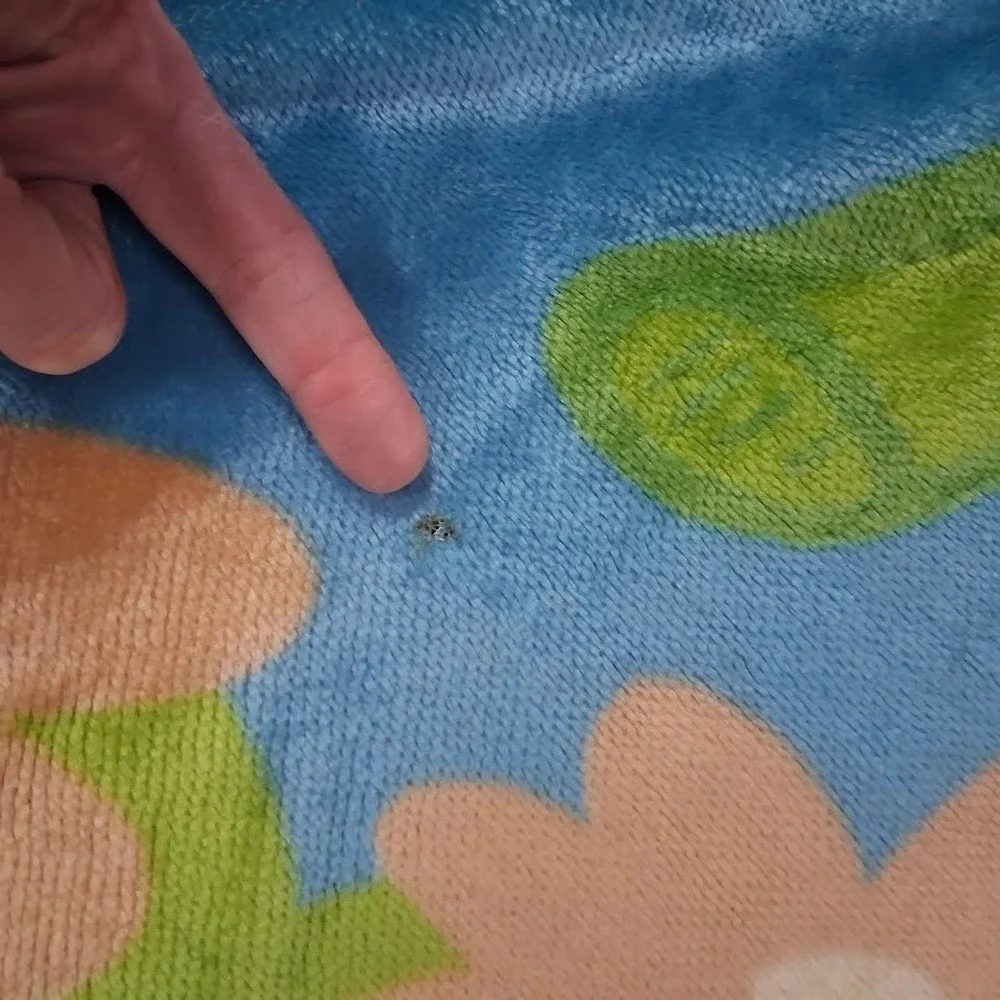 Nickelodeon Jr DORA The Explorer‎ Big Throw Blanket 60x80 Let's Go Vamonos Boots
